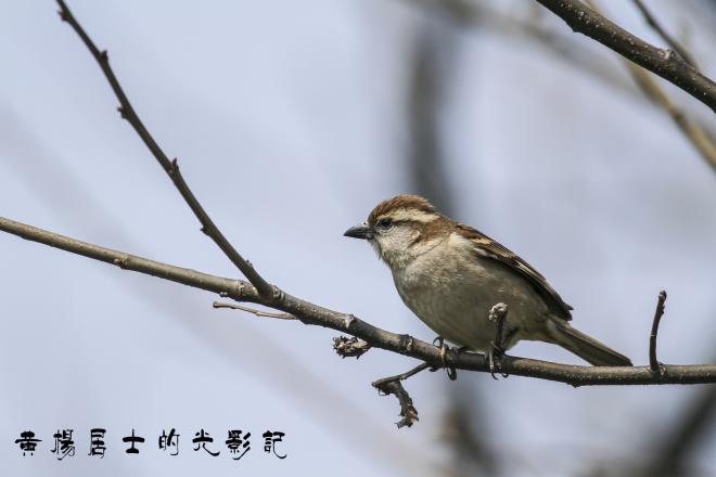 IMG_1349 - 副本.JPG